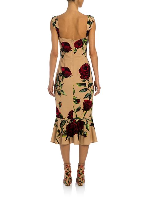 dolce gabbana dress roses|dolce gabbana rose print midi dress.